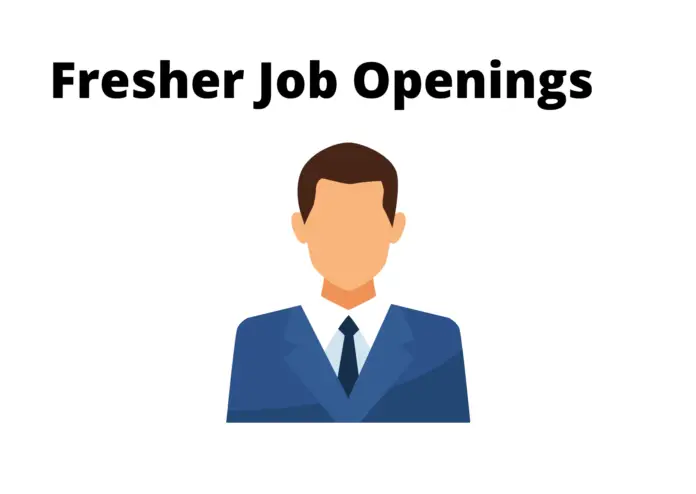 Freshers job