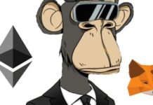 Launching NFTs: Building NFT Minting Website with No Code