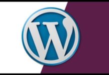 Mastering Wordpress: Wordpress Development and Monetization