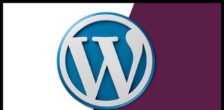 Mastering Wordpress: Wordpress Development and Monetization