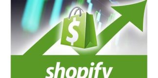 Profitable Shopify eCommerce Store Business Startup Course