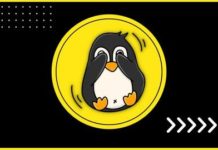 Learn Linux Bash Shell Scripting with AWK, SED and 10+ Projects Learn Linux Bash Shell Scripting with AWK, SED and 10+ Projects - Featured Image