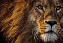 How to Earn from Photography: Absolute Beginners Guide