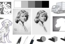 Learn How to Draw: Basic Drawing for Beginners