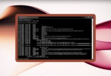 MS-DOS Complete Course: from Zero to Professional!