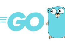 Mastering Go: From Beginner to Expert