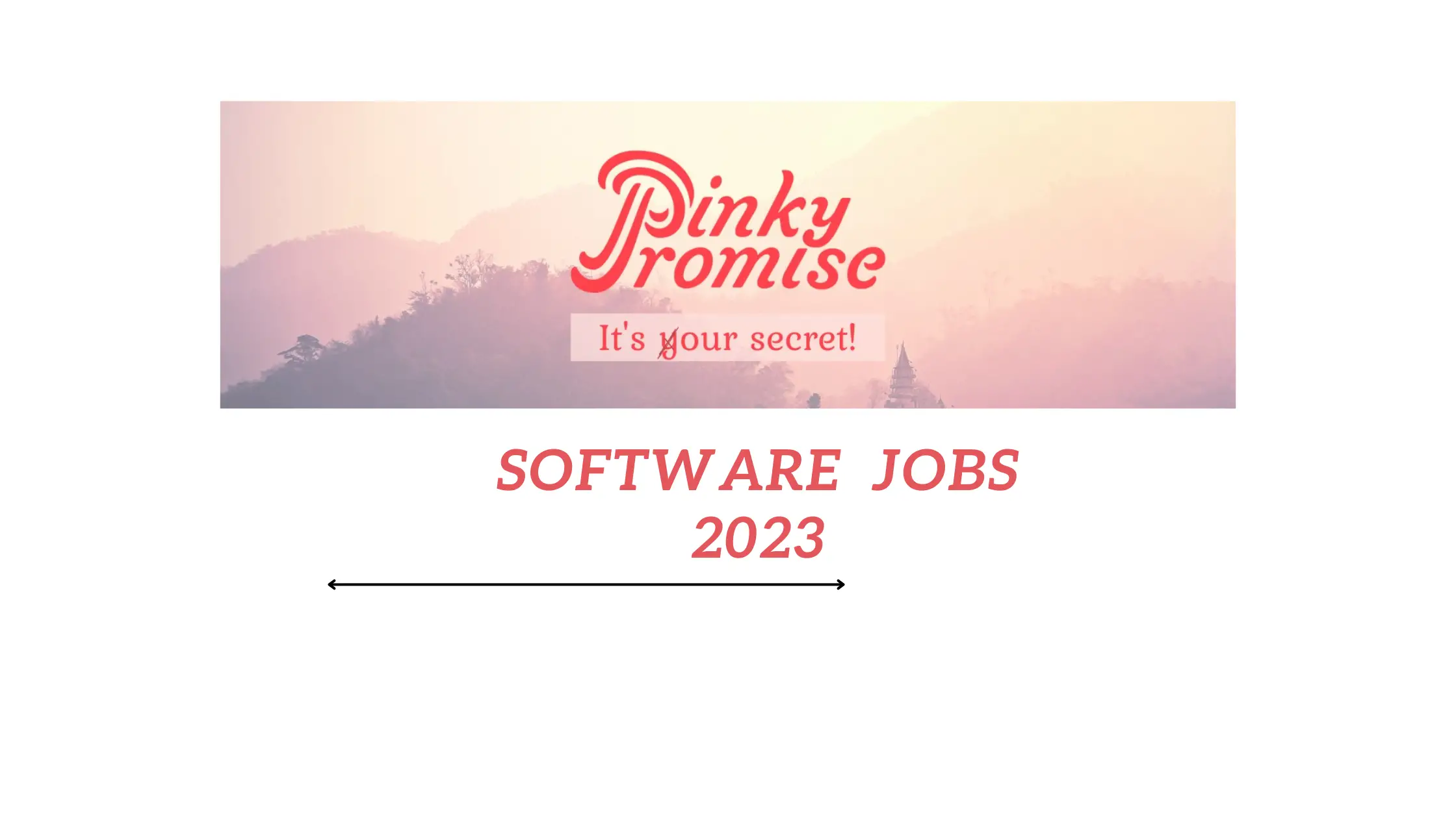 Software Engineer Job 2023 by Pinky Promise - Join Our Team