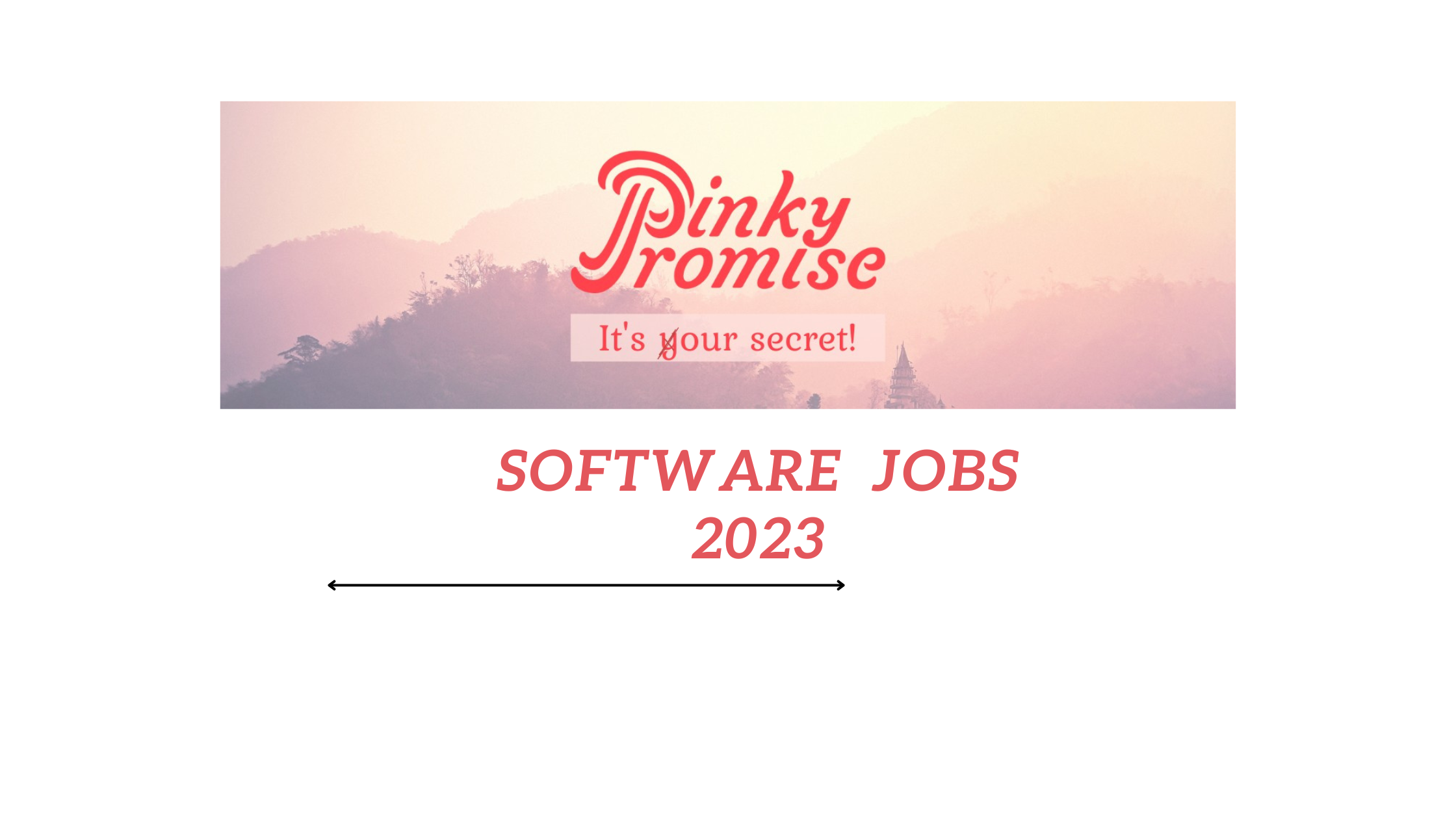 Software Engineer Job 2023 by Pinky Promise - Join Our Team||Software Engineer Job 2023: Empower Women's Healthcare Future - Join Our Team