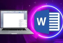 Master Microsoft Word: Boost Job Success