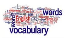 English Exam Vocabulary Tests: TOEFL IELTS PTE SAT YDS