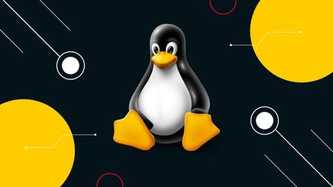 Ultimate Linux and Shell Scripting Guide: Basic to Advanced feature image
