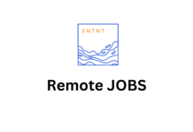 Remote Job Openings For Freshers & Students By ENTNT - Earn Big ($300 per month)