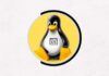 2023 Beginner Linux Shell Scripting Course - Coupon Included