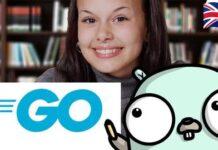 Image of a person coding in the Go programming language