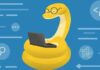 Python Programming 2024 Course: Complete Beginners Bootcamp feature image