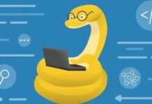 Python Programming 2024 Course: Complete Beginners Bootcamp feature image