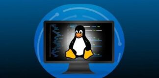 Learn Linux: Mastering Installation to Scripting (2024)