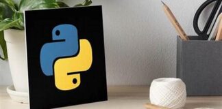 Python Mastery: Your Express Path to Programming Prowess