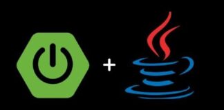 Java + Spring Boot, Rest Web Services, MVC, Microservices