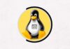 Linux Shell Scripting & Vi Editor Mastery Course [2024] !