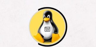 Linux Shell Scripting & Vi Editor Mastery Course [2024] !