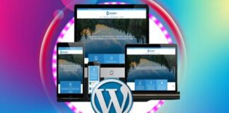 Complete Basics of WordPress Web Design and Web Development