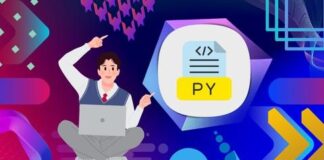 Python for Complete Beginners