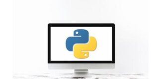 Python Basics Coding for Absolute Beginners : Programming