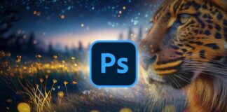 A person editing an image on Adobe Photoshop, showcasing advanced tools and AI features for mastery.