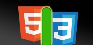 Mastering Advanced Techniques in HTML5 and CSS3 with a focus on modern web development tools and practices