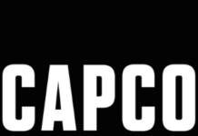 Capco Data Analyst Entry Level Job Openings 2024