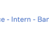 IT Data Science Internships 2024 by Boomi