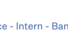 IT Data Science Internships 2024 by Boomi