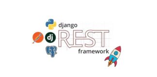 An illustration of Django REST Framework logo integrated with API symbols representing modern web development.