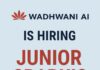 Graphic Designer Jobs